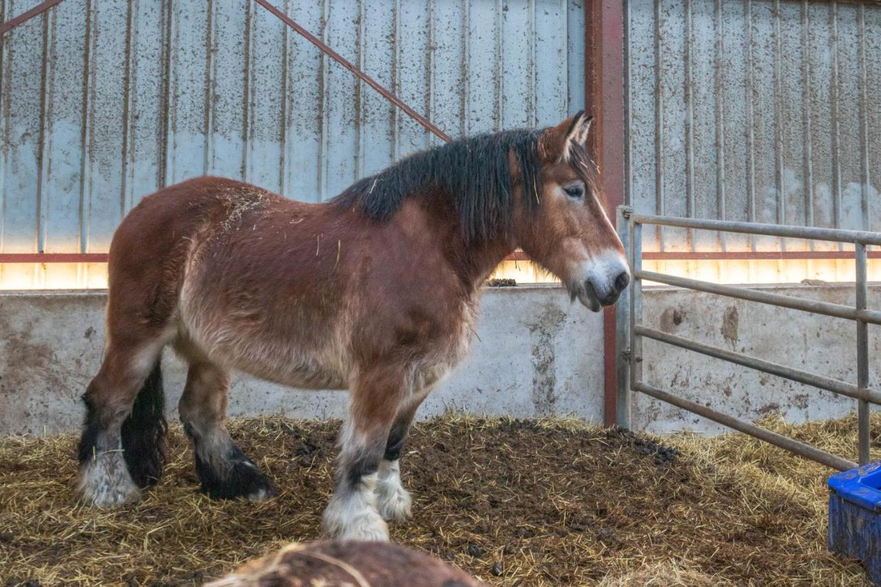 Flopre Panzió Flocourt Kültér fotó